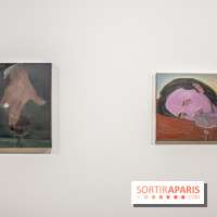 Exposition Xinyi Cheng à Lafayette Anticipations -  nos photos