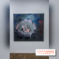 Exposition Xinyi Cheng à Lafayette Anticipations -  nos photos