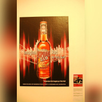 Imagine Desperados by...au Palais de Tokyo