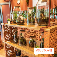 Le Café Vert du Printemps Haussmann 