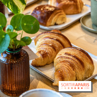 Le Café Vert du Printemps Haussmann 