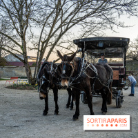 Le domaine du Chateau de Dampierre 