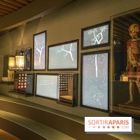 Le nouveau Musée Albert Kahn se dévoile 