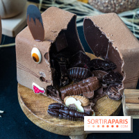 Chocolats de Pâques 2022, Choco au Carré