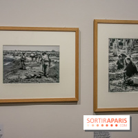 Photographies en Guerre, nos photos de l'exposition choc au Musée de l'Armée