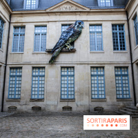 Incursions sauvages, nos photos