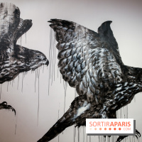 Incursions sauvages, nos photos