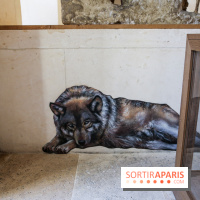 Incursions sauvages, nos photos