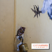 Incursions sauvages, nos photos