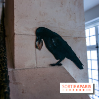 Incursions sauvages, nos photos