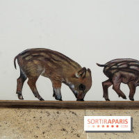 Incursions sauvages, nos photos