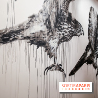 Incursions sauvages, nos photos