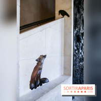 Incursions sauvages, nos photos