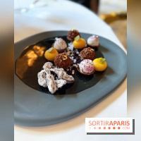 Menu 20 ans d'excellence, Christian Le Squer - Le Cinq, Le George V