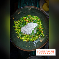 Marcello pâtes evergreen