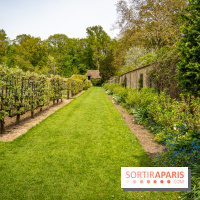 Le Château de Saint-Jean de Beauregard et son Jardin remarquable