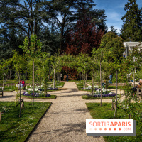 Les jardins du Musée Albert Kahn, nos photos 