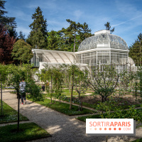 Les jardins du Musée Albert Kahn, nos photos 