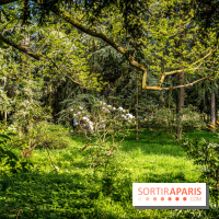 Les jardins du Musée Albert Kahn, nos photos 