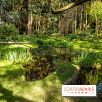 Les jardins du Musée Albert Kahn, nos photos 