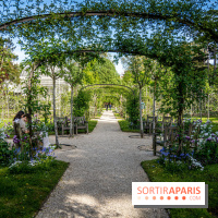 Les jardins du Musée Albert Kahn, nos photos 