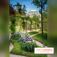 Les jardins du Musée Albert Kahn, nos photos 
