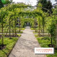 Les jardins du Musée Albert Kahn, nos photos 