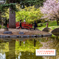 Les jardins du Musée Albert Kahn, nos photos