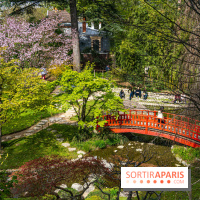 Les jardins du Musée Albert Kahn, nos photos