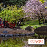 Les jardins du Musée Albert Kahn, nos photos