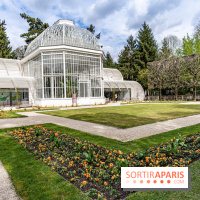 Les jardins du Musée Albert Kahn, nos photos