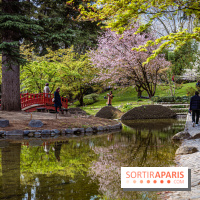 Les jardins du Musée Albert Kahn, nos photos