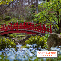 Les jardins du Musée Albert Kahn, nos photos