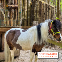 Aventure Floreval, l'accrobranche canon aux portes de Paris