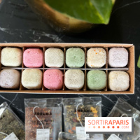 Maison Carrousel Fête des Mères 2022