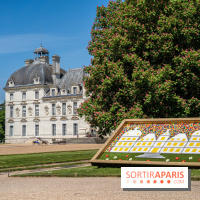 Photos : Château de Cheverny