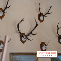 Photos : Château de Cheverny