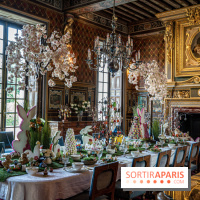 Photos : Château de Cheverny