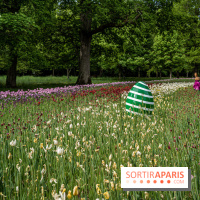 Photos : Château de Cheverny