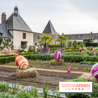 Photos : Château de Cheverny