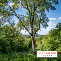 Le Château de Breteuil, ses jardins remarquables et contes de Perrault 