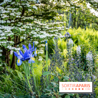 Le Château de Breteuil, ses jardins remarquables et contes de Perrault 