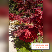 Le Jardin Japonais d'Ichikawa à Issy-les-Moulineaux