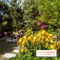 Le Jardin Japonais d'Ichikawa à Issy-les-Moulineaux