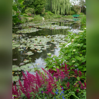 Maison et Jardins Claude Monet à Giverny