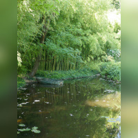 Maison et Jardins Claude Monet à Giverny