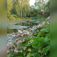 Maison et Jardins Claude Monet à Giverny