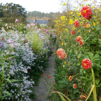 Maison et Jardins Claude Monet à Giverny
