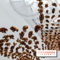 Exposition De l’Art de vivre au Centre Culturel Canadien, nos photos