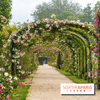 Photos : La Roseraie du val-de-Marne